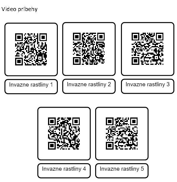 QR videojpg