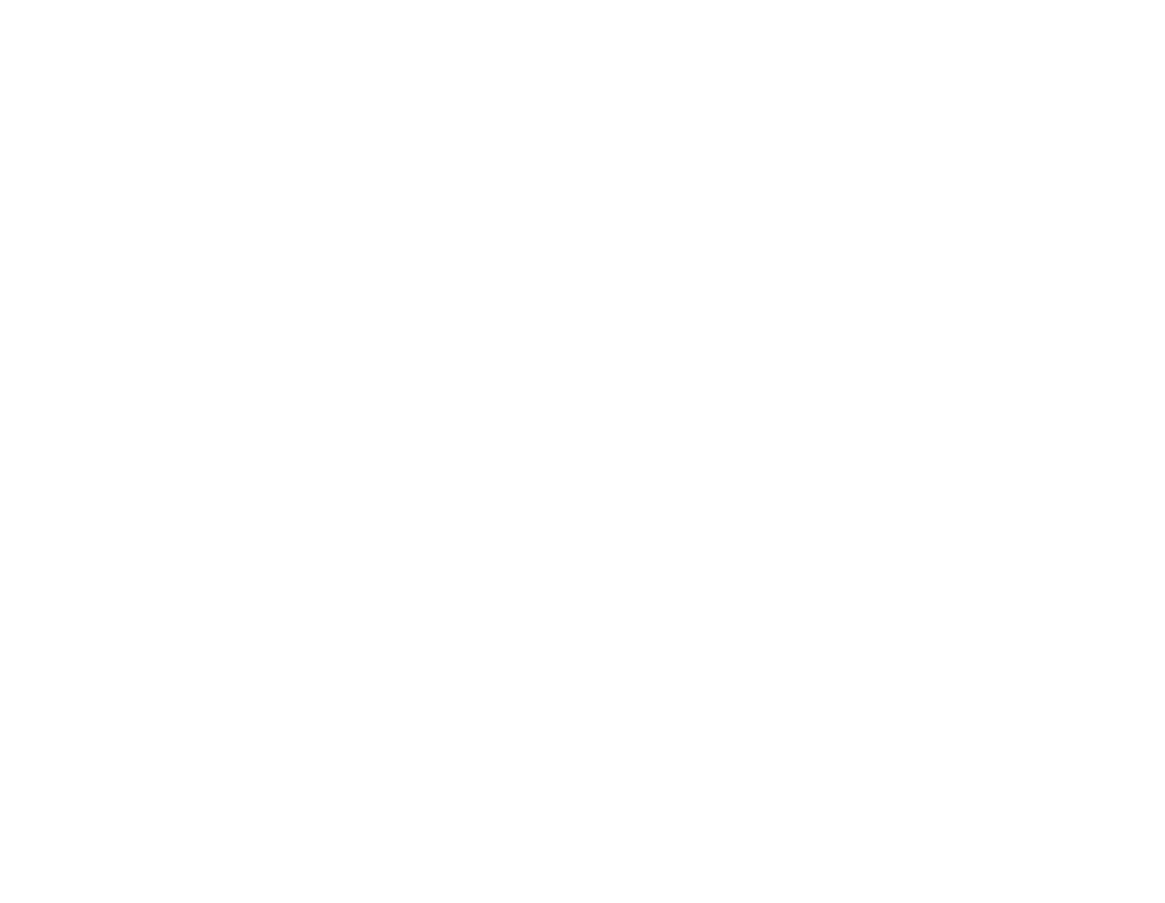 PicoAquatic s. r. o. logo