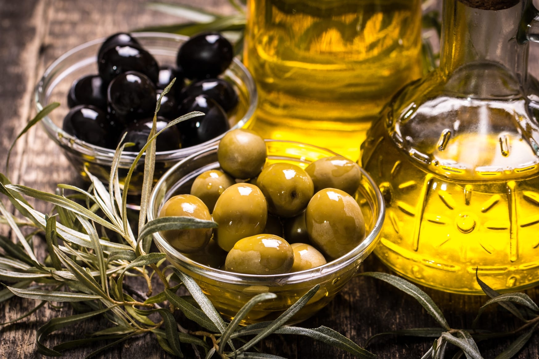 Olivovníky sú zdrojom veľmi zdravej výživy, ktoré tvoria plody - stolové olivy a olivový olej.