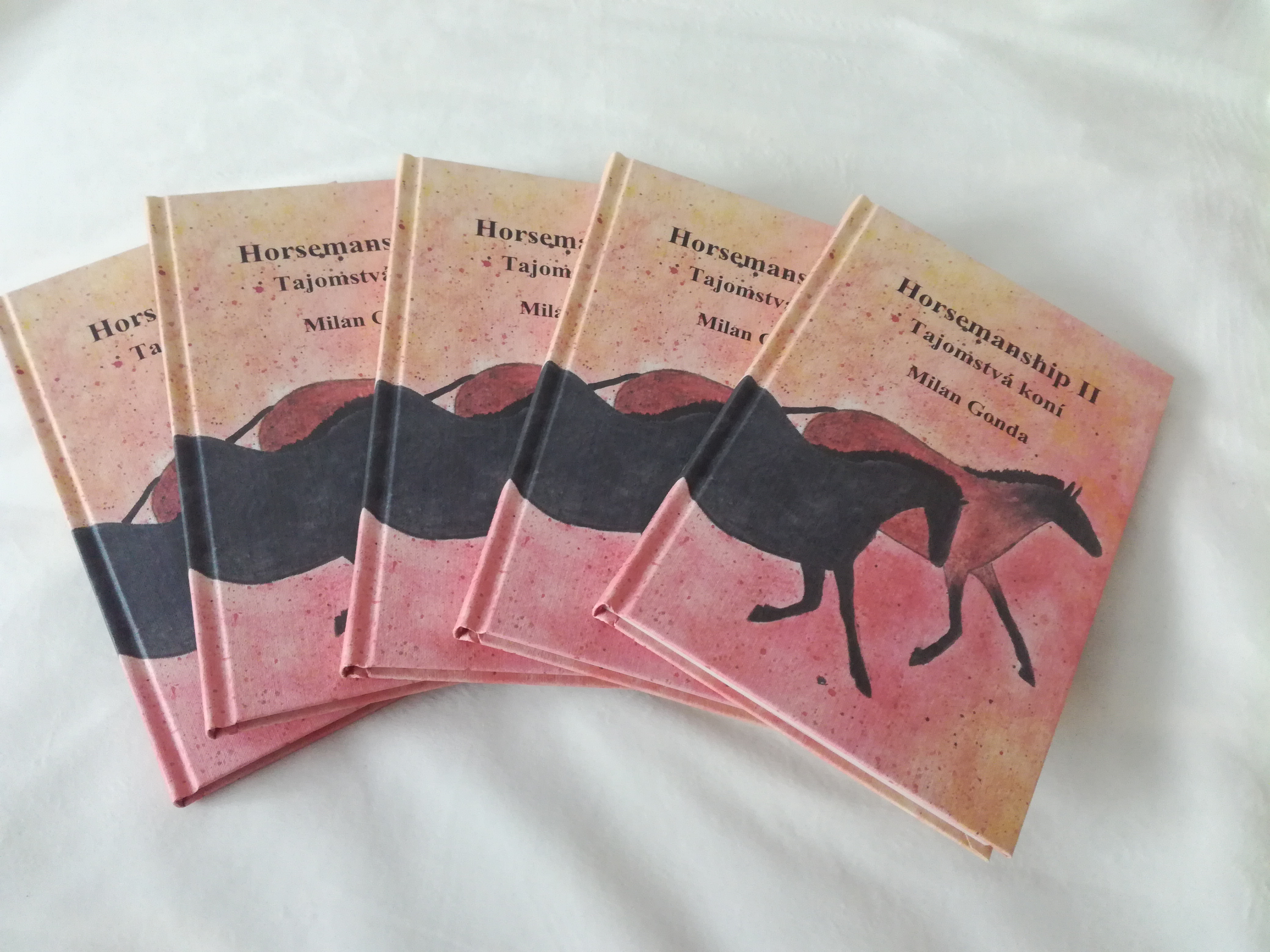 Horsemanship II - Tajomstvá koní